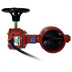 Butterfly Valves and Check Valves
